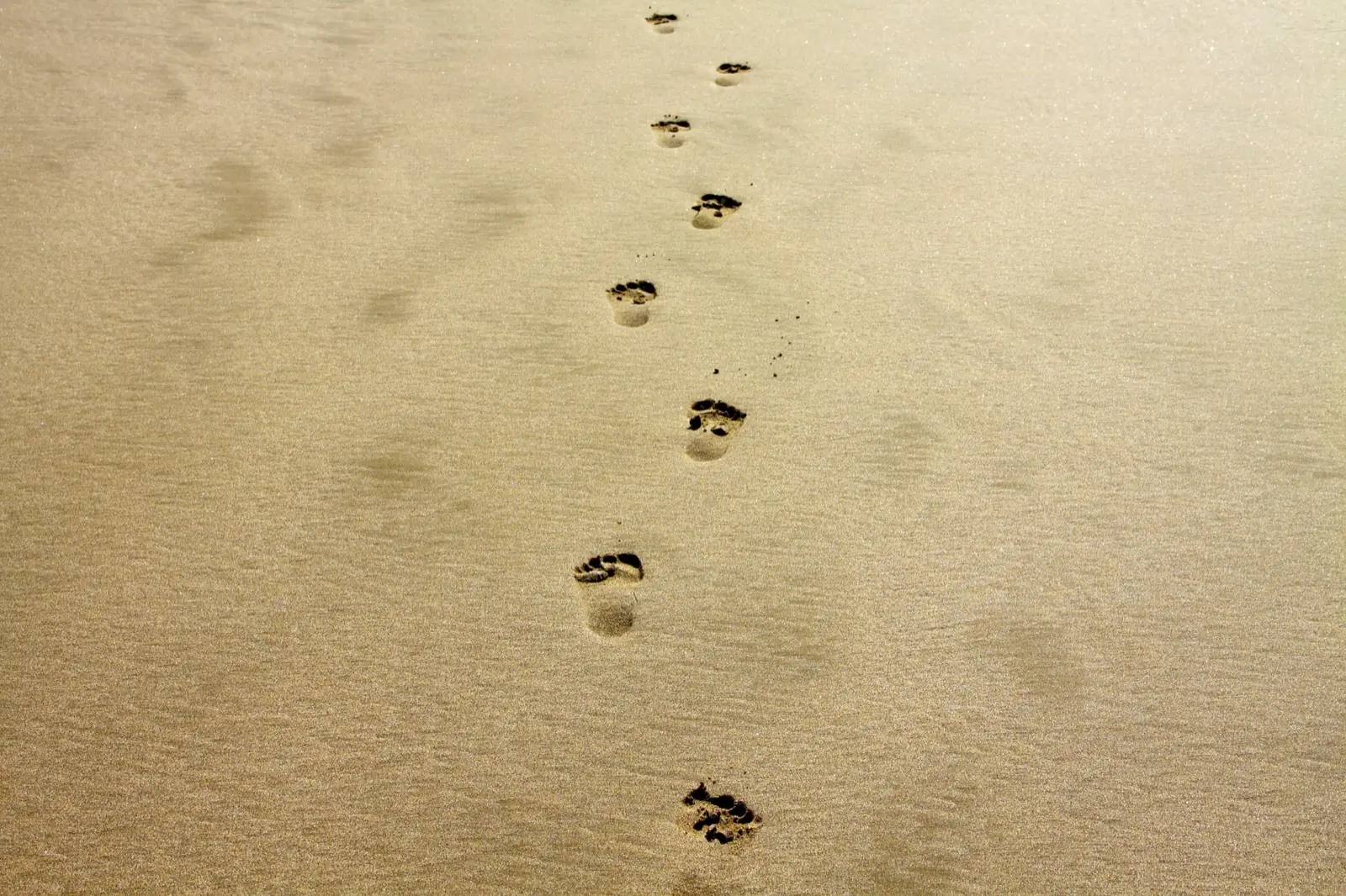 One-on-one transformational leadership coaching session